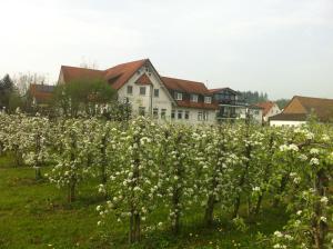 Zahrada ubytování Apfelblüte bed & breakfast 8 km vom Bodensee