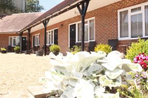 una casa con flores blancas delante de ella en Kings Head Inn en Rye