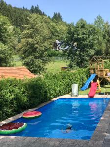 a swimming pool with three inflatable toys in a backyard at Bartleshof in Wolfach