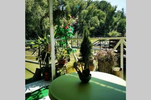 Zahrada ubytování En ChillAda River house