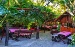 a group of picnic tables and benches in a park at Etno Apartmani ''Vlaška kuća'' in Kladovo