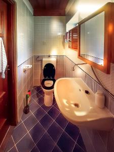 a bathroom with a white sink and a toilet at Wild Boar Cottage - Romantic getaway in Badacsonytomaj