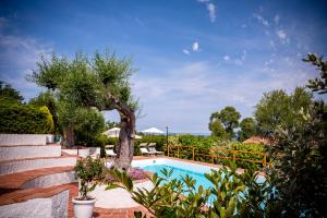 a swimming pool with a tree next to some stairs at B&B Casabianca Palinuro in Palinuro