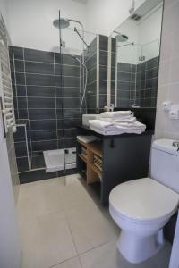 a bathroom with a toilet and a sink and a shower at ROYALEMENT BIEN ! Hyper-centre - Wifi - Vieille Ville in Annecy +27 photos