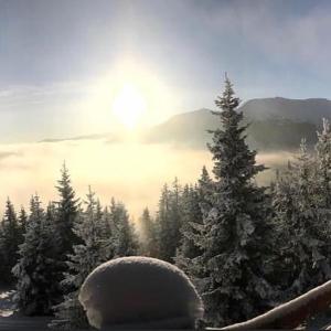 Przyroda w pobliżu tego zajazdu