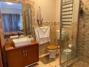 a bathroom with a toilet and a sink and a shower at Bonzila in Pretoria +12 photos