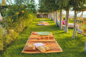 a table with a plate on it in the grass at Diar illi in Touama