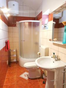 Koupelna v ubytování Apartment Biljana