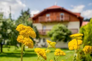 Zahrada ubytování Pension Rieger