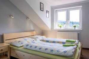 a bedroom with two beds and two windows at Pension Rieger in Radošov