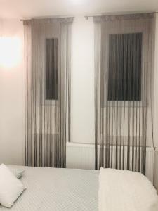 米什科爾茨的住宿－Belvárosi Apartman 1，一间卧室设有一张床和两个窗户。