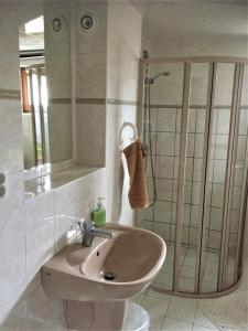 een badkamer met een wastafel en een douche bij Ubytování Pod lázněmi Klimkovice in Klimkovice