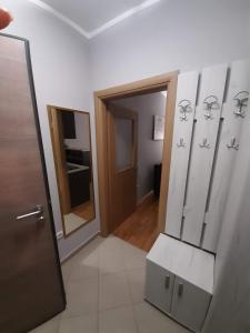een badkamer met een wastafel en een spiegel bij Apartman Ljubovic in Podgorica
