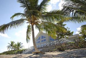 a palm tree on the beach in front of a house at Castaway Cove by Grand Cayman Villas in North Side