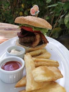 a sandwich and french fries on a plate with ketchup at Riviera Punta Cana Eco Travelers in Punta Cana