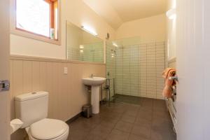 a bathroom with a toilet and a sink at Naseby Apartments in Naseby +27 photos