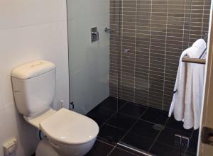 a bathroom with a toilet and a shower at Blues Air 3 in Thredbo