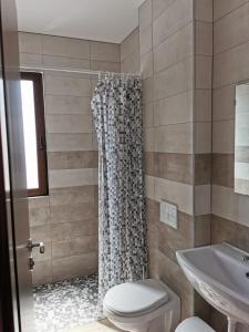 ein Bad mit einer Dusche, einem WC und einem Waschbecken in der Unterkunft Pensiunea Diana in Stroe Beloescu