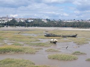 Gallery image of SunnyVale in Barry