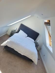 Gallery image of SunnyVale in Barry