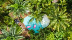 an overhead view of a swimming pool with palm trees at Monkey Lodge Panama in Chilibre