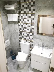uma casa de banho com um WC e um lavatório em My Boutique Hotel em Istambul