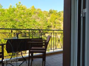 Zdjęcie z galerii obiektu Xenonas Sta Tzakia w mieście Karpenision