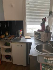 Una cocina con un fregadero y un microondas en una encimera. en petit studio fonctionnel independant, en Saint-Brieuc