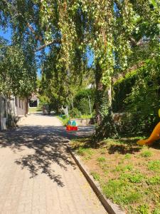 Zahrada ubytování Appartment Weingut Hess