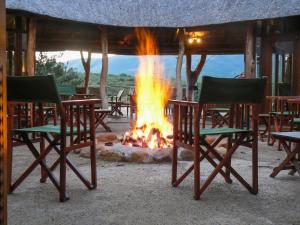 Gambar di galeri bagi Pumba Private Game Reserve di Grahamstown