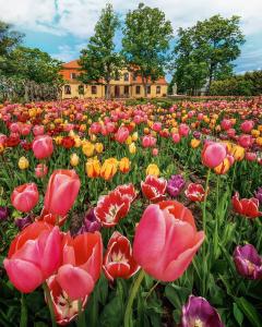 um campo de flores com uma casa ao fundo em Liepupe Manor em Liepupe