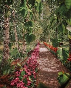 a garden with pink and purple flowers on a path at Liepupe Manor in Liepupe