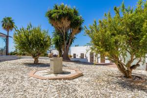a park with trees and a building in the background at Cortijo Boutique Marbella in Marbella