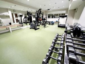 a gym with several treadmills and weights at BUSINESS-HOTEL ROSSO RIVA in Moscow