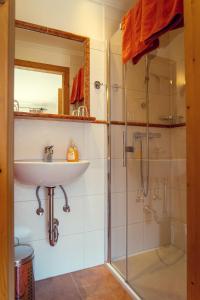 a bathroom with a sink and a shower at Stangl - Hof in Bad Aussee