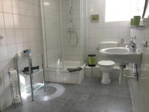 a bathroom with a shower and a toilet and a sink at Eichenhof Kalletal in Kalletal