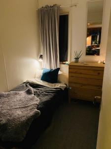 - une chambre avec un lit, une commode et une fenêtre dans l'établissement Boka Borgafjäll, à Borgafjäll