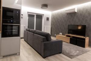 uma sala de estar com um sofá e uma televisão em Manna Aparthotel em Jászberény