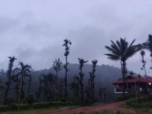 Gallery image of Aayana Valley in Chikmagalur +56 photos