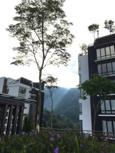 Gallery image of Zen at Midhills Genting in Genting Highlands