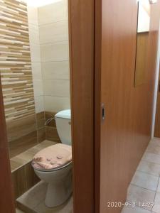 uma casa de banho com um WC ao lado de um chuveiro em Restaurace ALVI em Ostrava