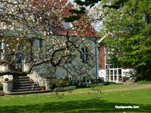 博雷的住宿－Tiendegaarden Møns Klint，前面有一棵开花的树的房子