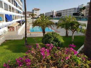 Gallery image of Tinache Blue Marine apartment in Playa del Ingles