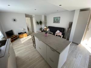 a kitchen and living room with a counter and a living room at Au coeur du Gévaudan appartement de plain pied in Marvejols
