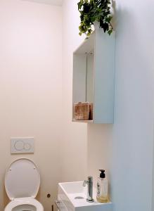 La salle de bains est pourvue de toilettes, d'un lavabo et d'un miroir. dans l'établissement Appart HautsSarts, à Liers
