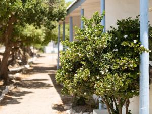 Gallery image of Strandkombuis in Yzerfontein