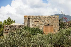 Billede fra billedgalleriet på Tenuta Borgia i Pantelleria + 103 billeder