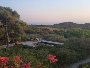 Billede fra billedgalleriet på Tenuta Borgia i Pantelleria