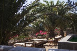 une terrasse avec des chaises, des palmiers et des fleurs roses dans l'établissement Tenuta Borgia, à Pantelleria