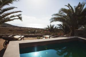 een zwembad in een tuin met palmbomen bij Tenuta Borgia in Pantelleria
